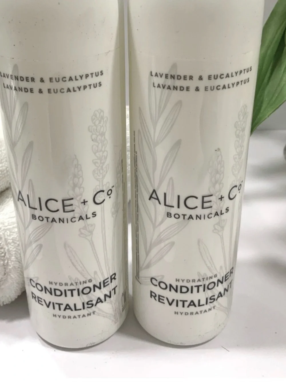(2 PACK) CONDITIONER ALICE +Co BOTANICALS 🪻LAVENDER🪻& EUCALYPTUS